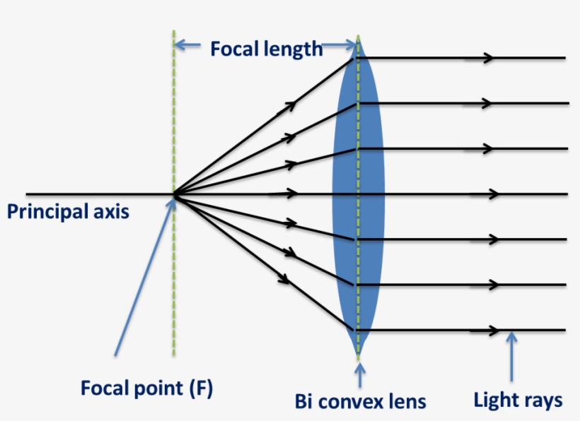 Biconvex Lens-behaviour Of Light Rays From Focal Point - Biconvex, transparent png