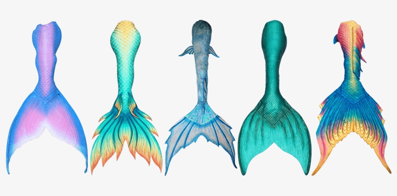 Top Places To Buy Your Mermaid Tails - Colas De Sirenas Dibujo, transparent png