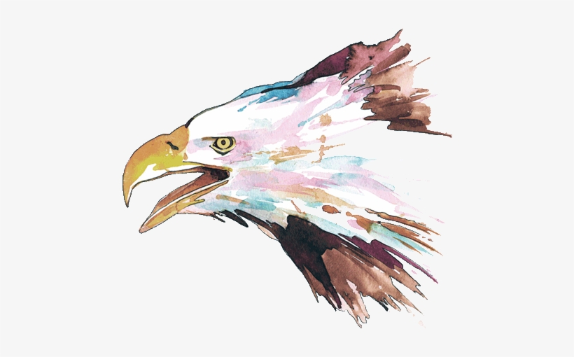 Bald Eagle, transparent png