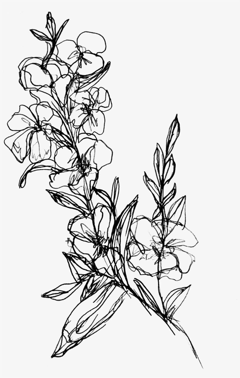 Flower Branch Submitted By Walmartteacups To /r/ - Drawing Of Flower Branch, transparent png