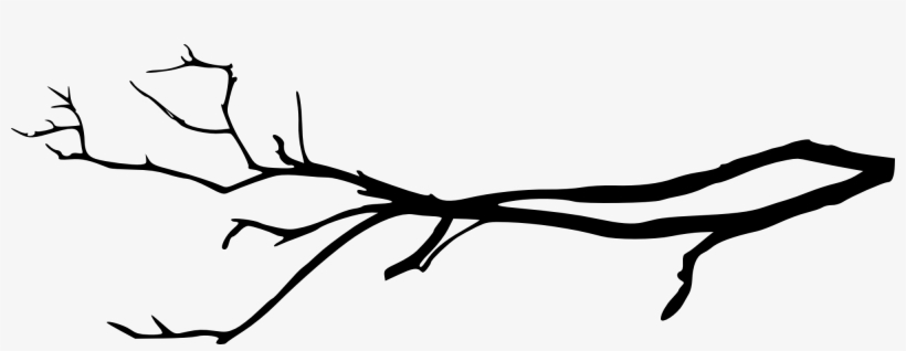 Free Png Simple Tree Branch Png Images Transparent - Tree Branch Png, transparent png