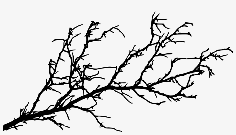 Free Download - Tree Branch, transparent png