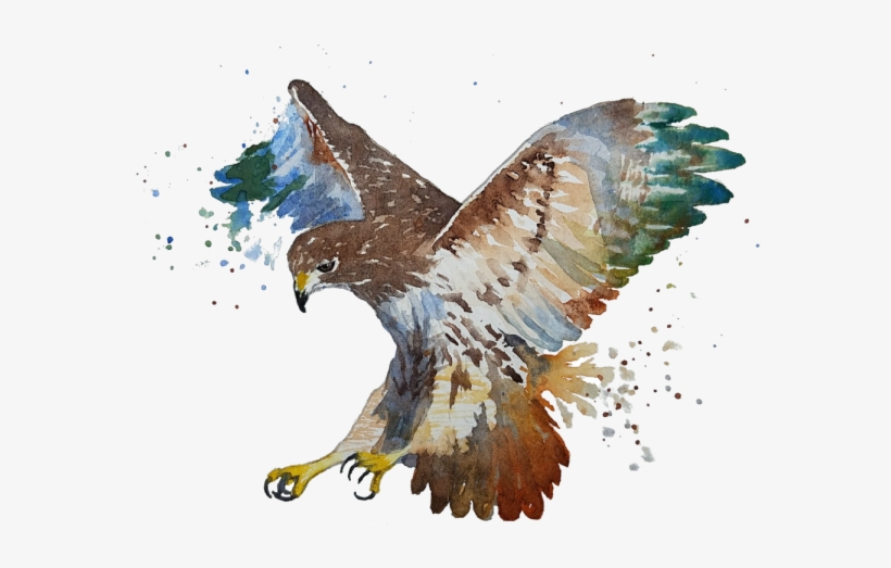 Art, transparent png