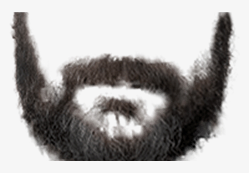 Moustache Styles Png Transparent Moustache Stylespng, transparent png