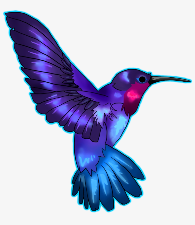 Hummingbird Tattoos Png Transparent Images - Hummingbird Tattoo, transparent png