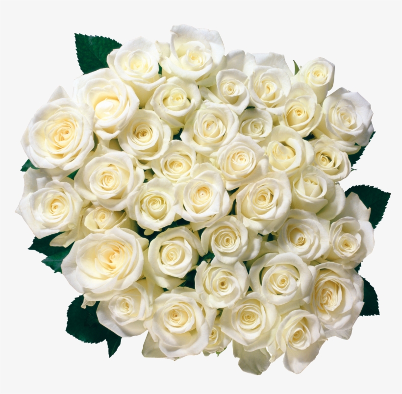 White Rose Bouquet Png, transparent png