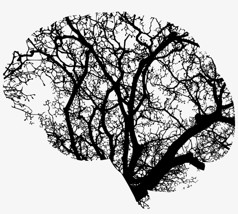Brain Png Svg Free Library - Brain Tree Png, transparent png