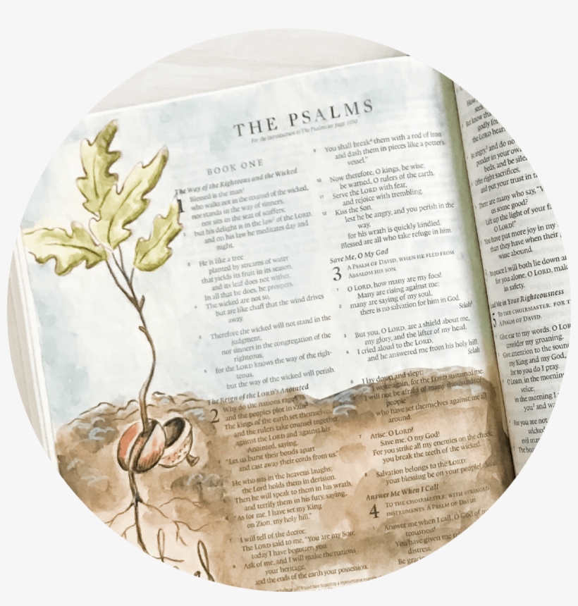 Create Beautiful Watercolor Art In Your Bible With - Bible, transparent png