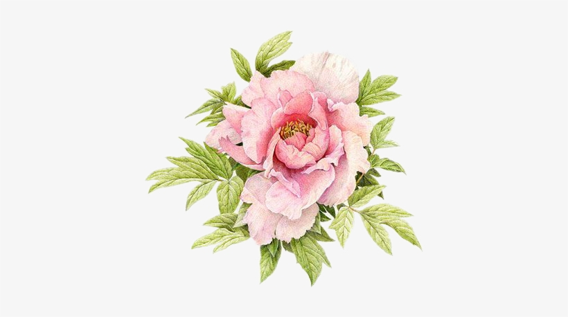 Replace Ugly Scar With Beauty - Pretty Floweres, transparent png