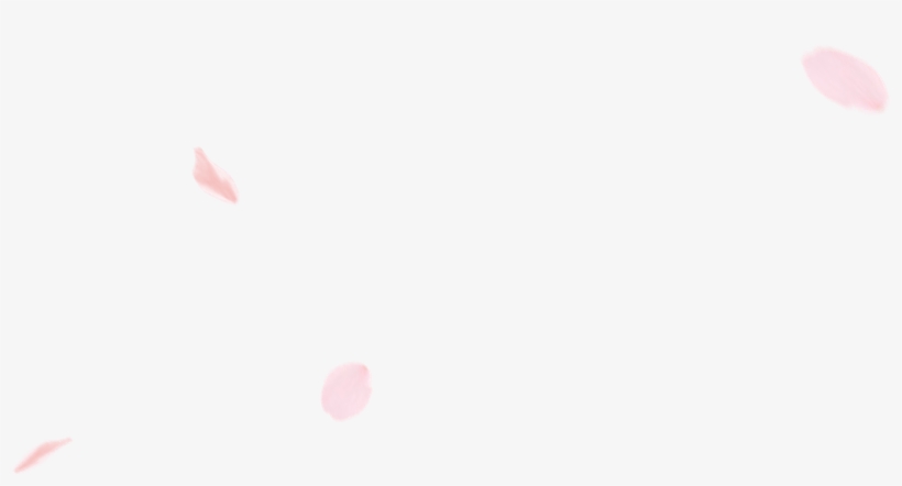 Check Out The Blooming Forecasts, And Discover Some - Circle, transparent png