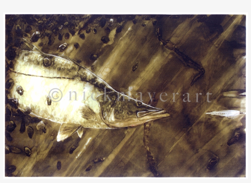 Snook And Deceiver Original Watercolor Painting - Watercolor Painting, transparent png