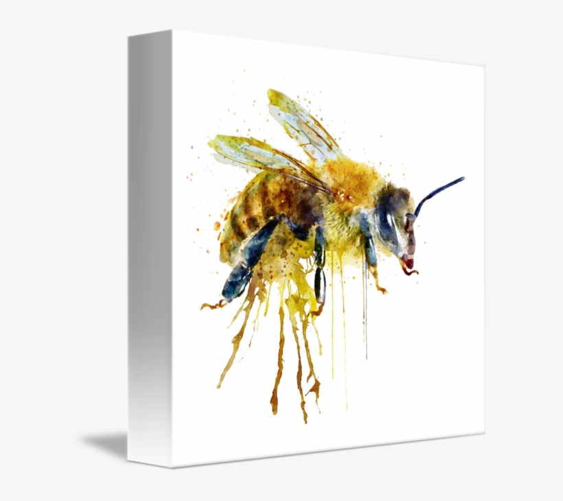 "watercolor Bee" By Marian Voicu - Bee Transparent Watercolor, transparent png