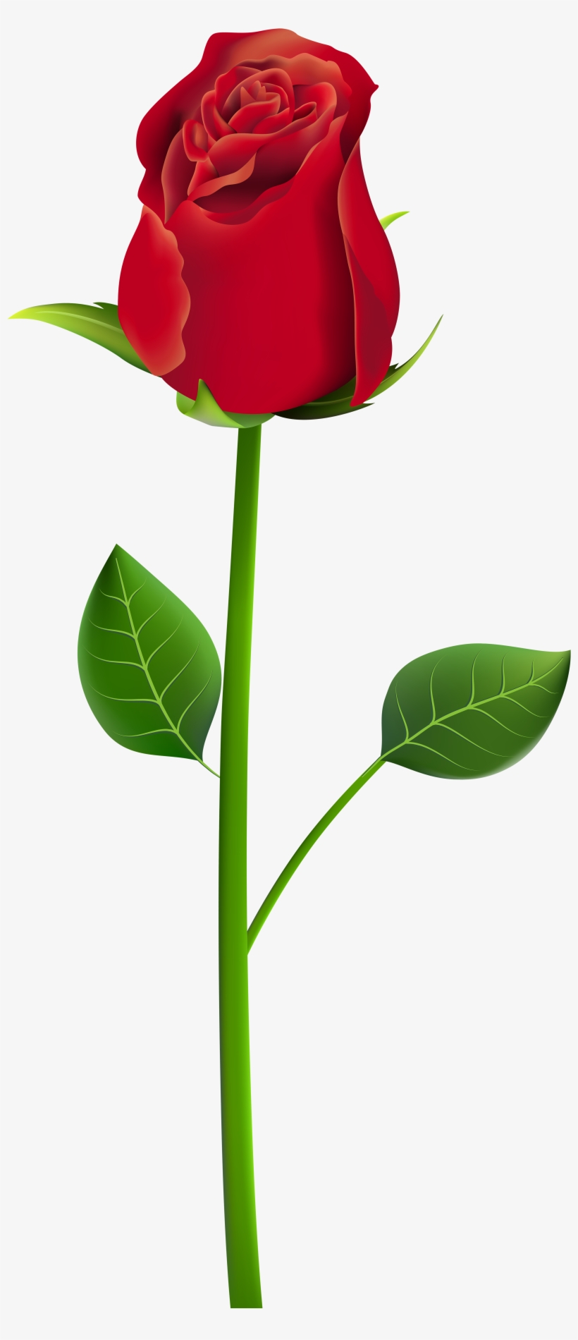 Rose Png Clip Art Transparent Image - Rose Png For Picsart, transparent png