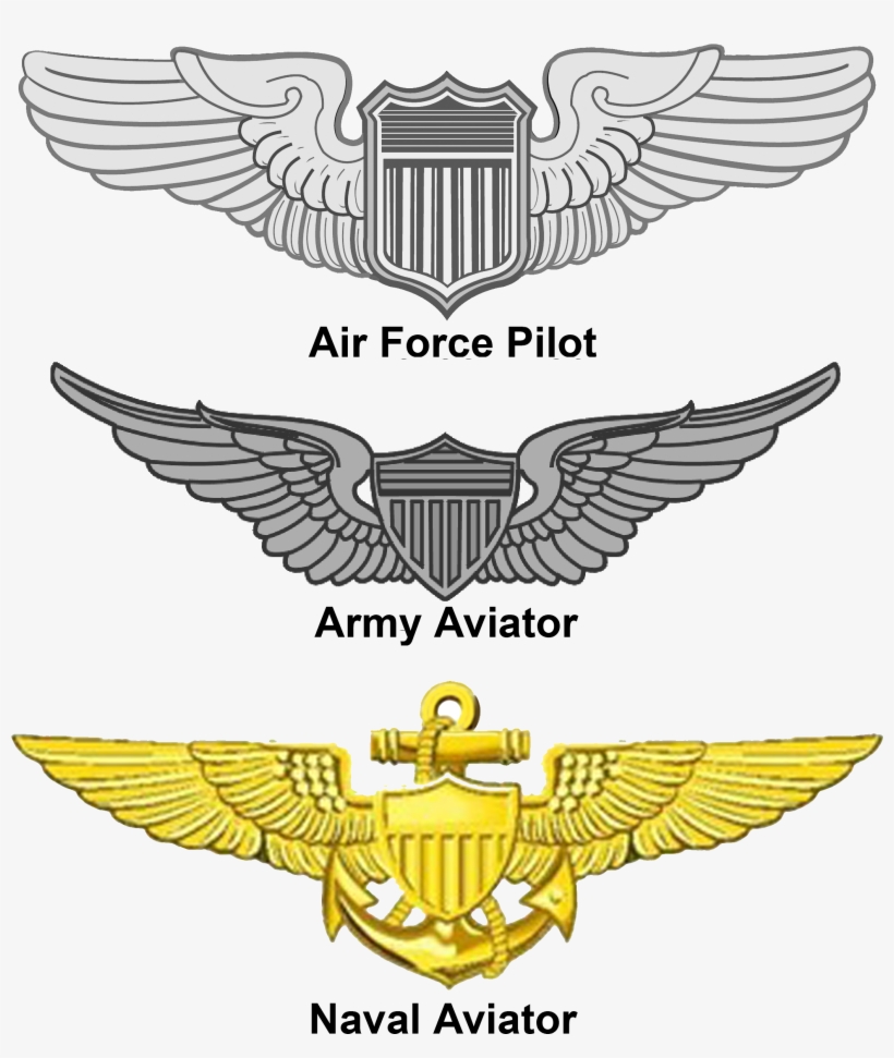 Aviation Wings - Aviator Badge, transparent png