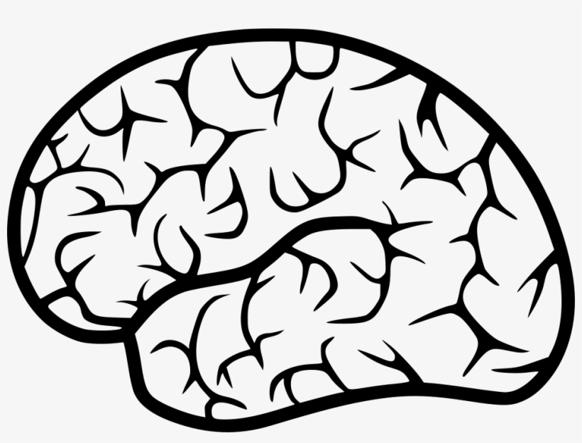 Human Brain Comments - Portable Network Graphics, transparent png