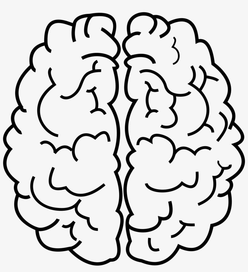 Svg Library Stock Line Art Image Png - Brain Clip Art Black And White, transparent png