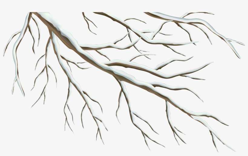 Jpg Library Stock Branch Transparent Winter - Winter Tree Branch Clip Art, transparent png