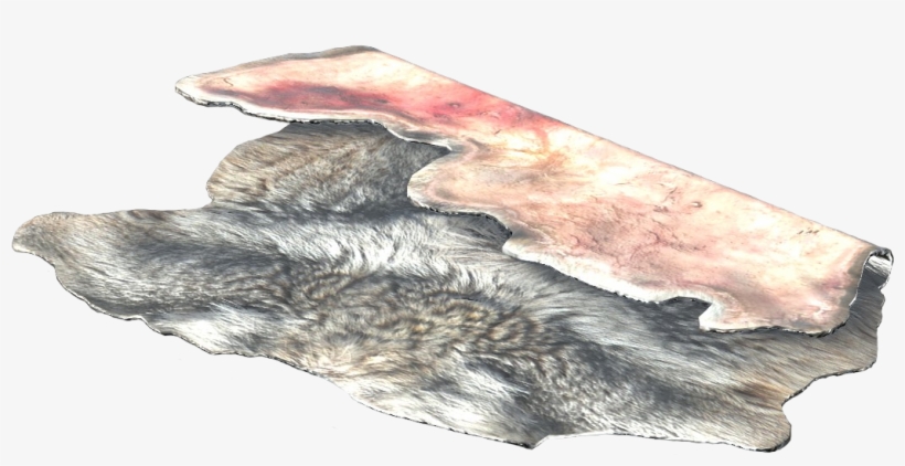 Wolf, transparent png