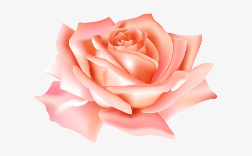 Peach Rosebud Floral Element Hand Painted In Watercolor - Peach Flower Png, transparent png