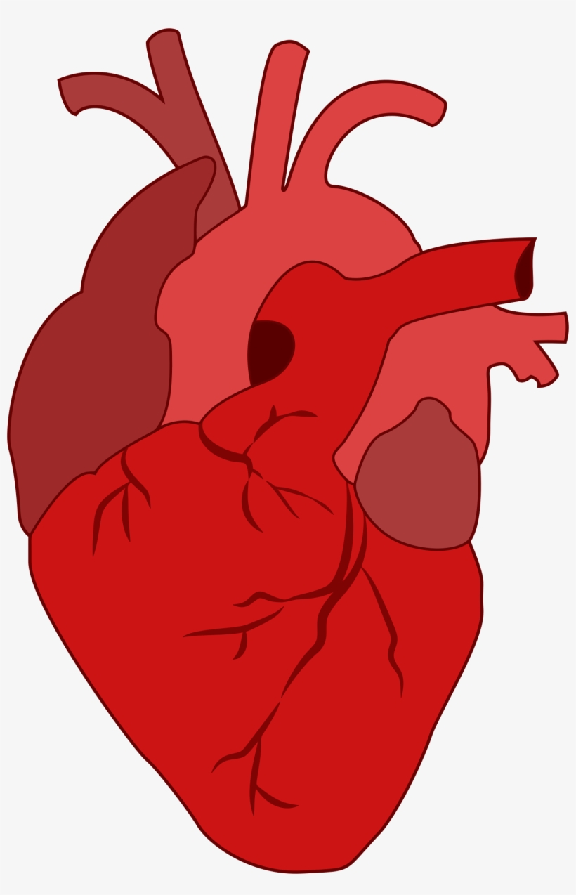 Blood And Bleeding In The Dream - Corazon Real Imagen Transparente, transparent png