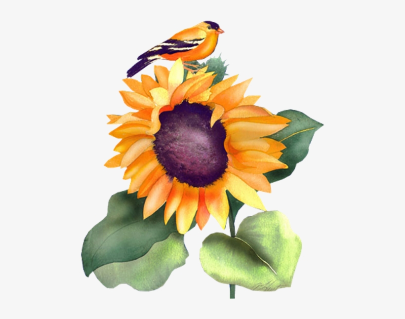 Sunflowers Animals - .net, transparent png