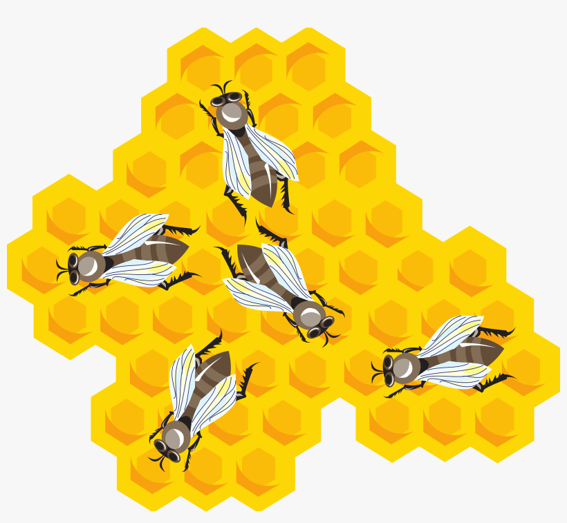 Honey, Cartoon, Hive, Wax, Bees, Combs, Bee, Comb - Bees Clipart Honeycomb, transparent png