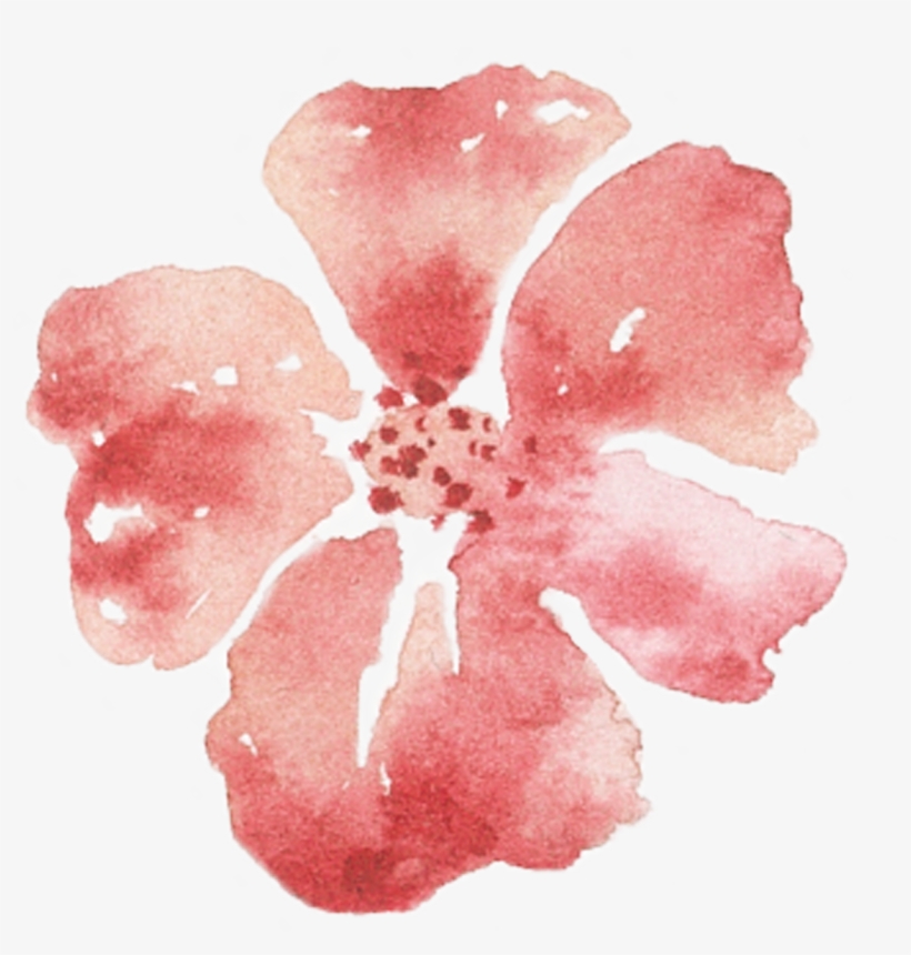 Of A Friends Wedding In The Summer Of - Chinese Hibiscus, transparent png