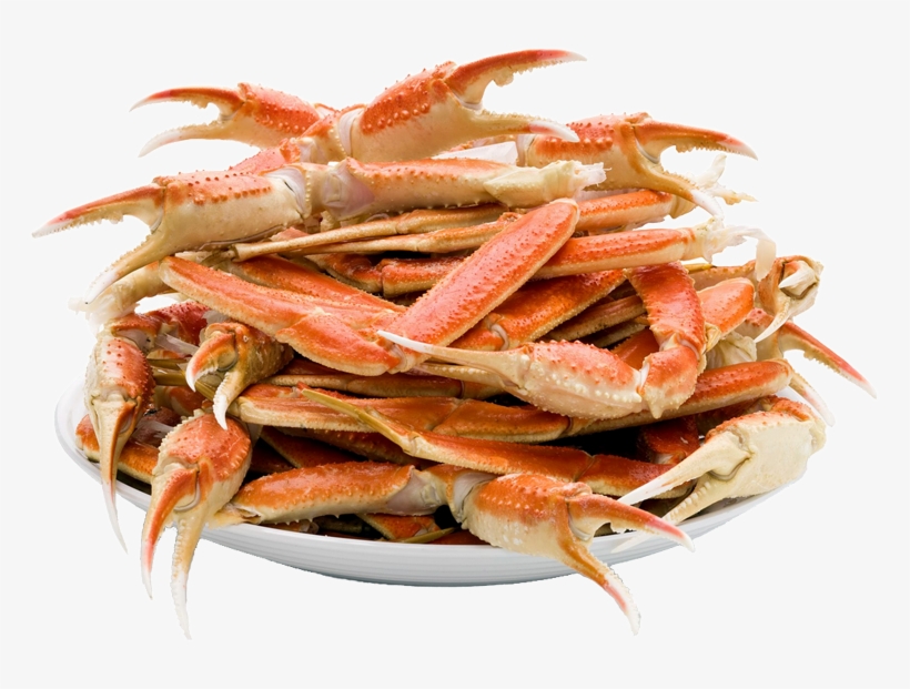 Crab, transparent png