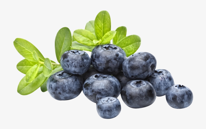 Emergency Essentials Freezedried Whole Blueberries 849x565 PNG