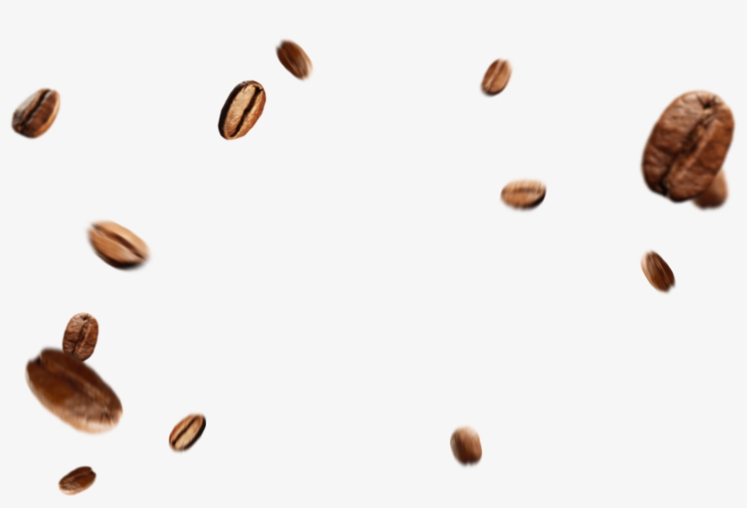 Coffee Beans Png - Coffee Bean Png, transparent png