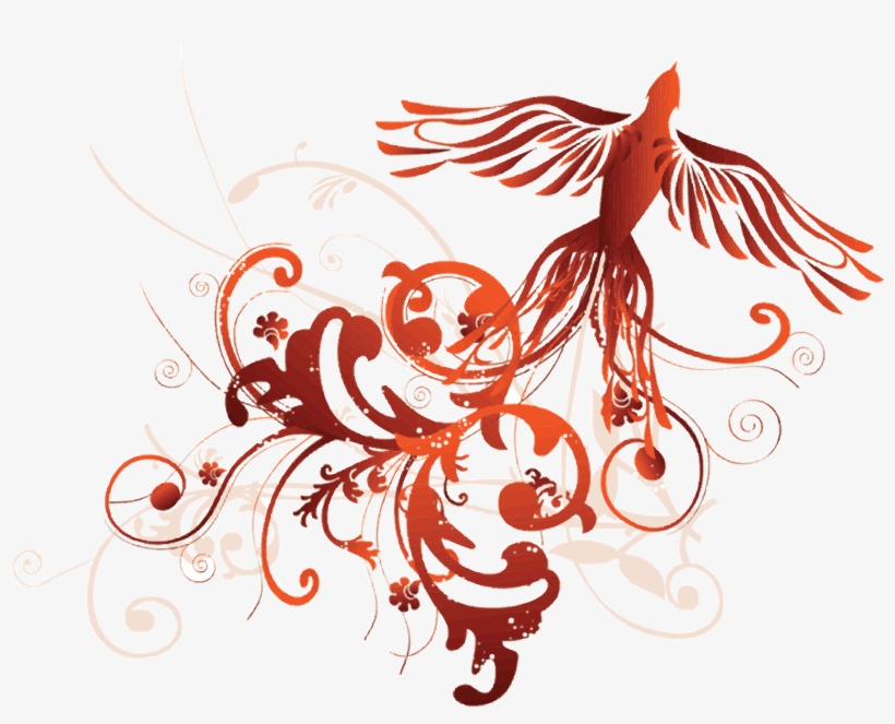 Book Now - Phoenix, transparent png