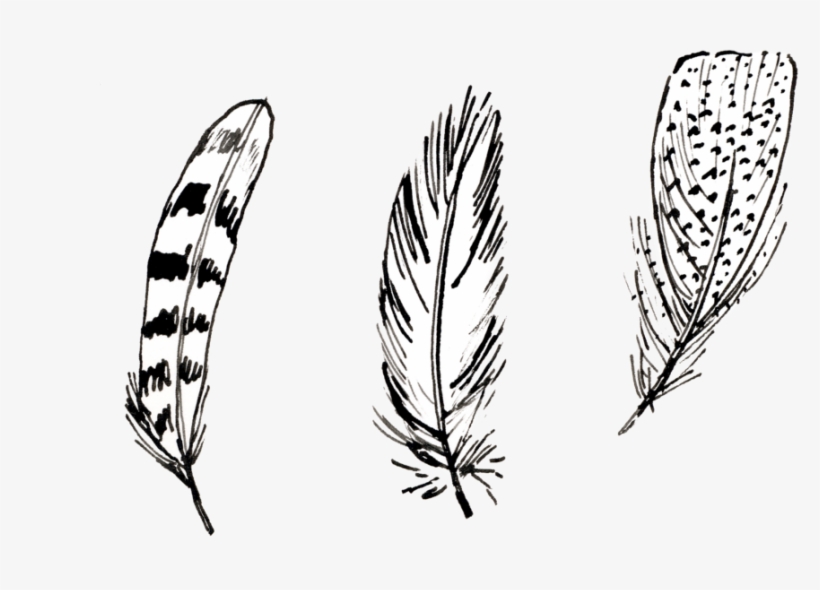 Feathers, transparent png