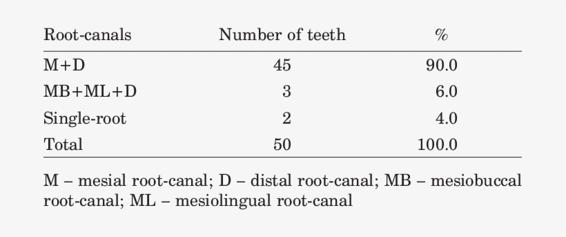 Distribution Of The Lower Third Molars With Respect - Product, transparent png