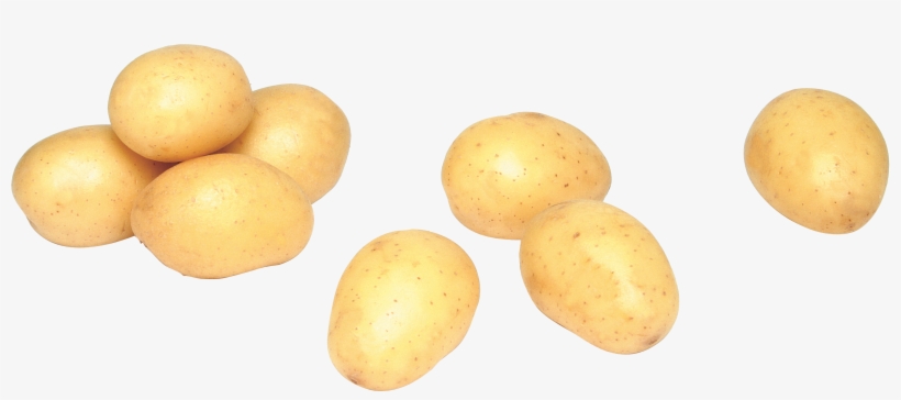 Russet Burbank Potato, transparent png