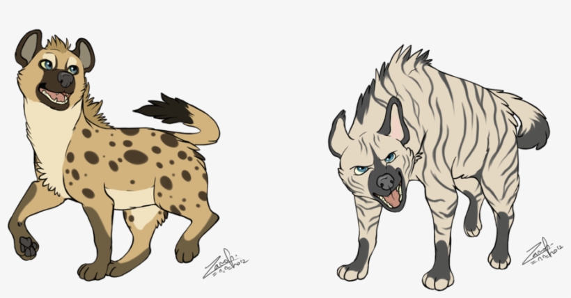 Hyena Drawing - Spotted And Striped Hyena, transparent png