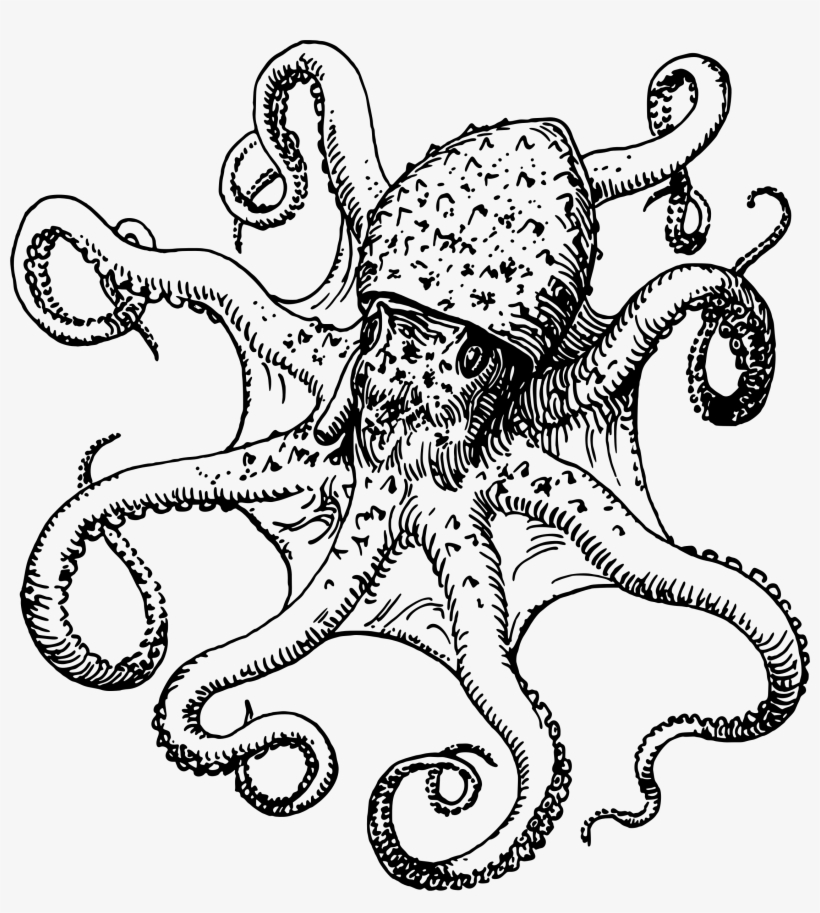 Jpg Free Download Octopus Drawing Images At Getdrawings - Black And White Octopus Clip Art, transparent png