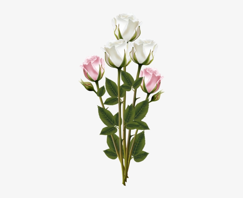 White And Pink Roses, Red Roses, Pink Rose Bouquet, - Transparent Bouquet, transparent png