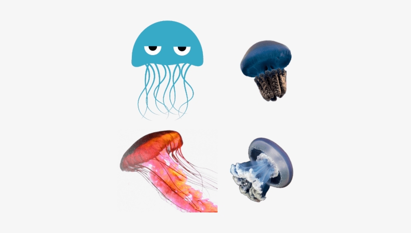 Jellyfish - Angry Blue Jellyfish Sticker, transparent png