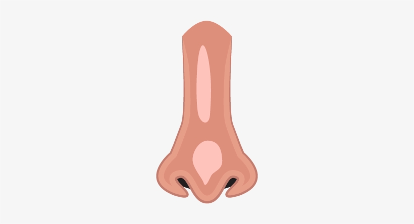 Nose - Illustration, transparent png