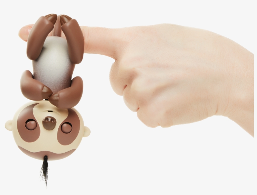 Kingsley The Sloth Png Sloth Animations - Fingerling Sloth, transparent png