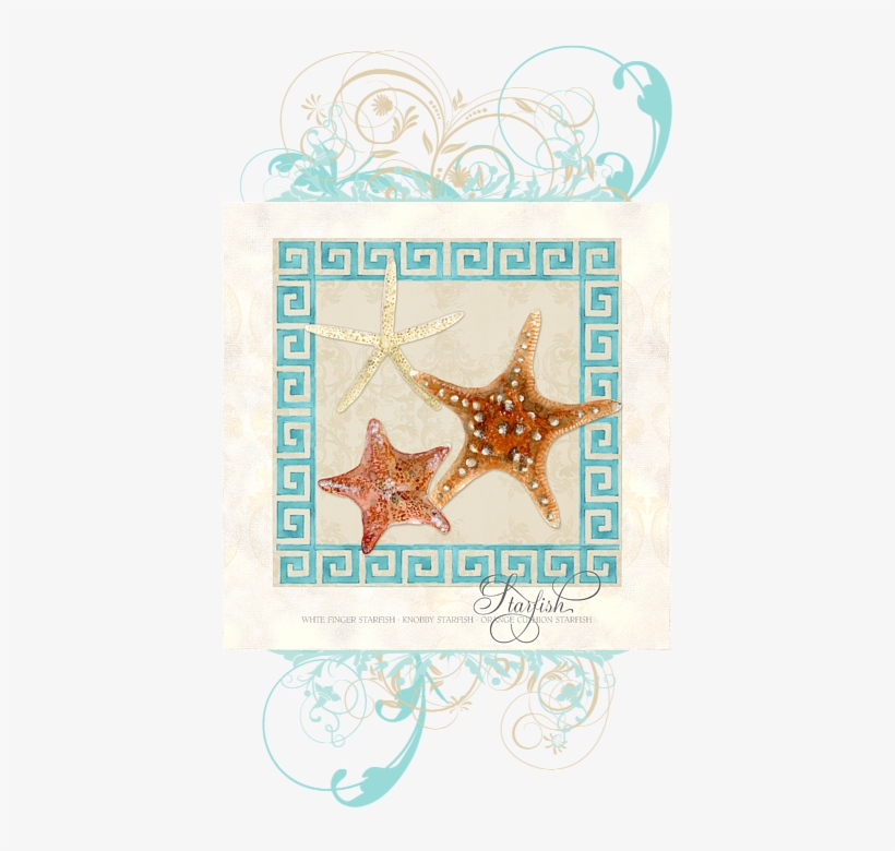 Click And Drag To Re-position The Image, If Desired - Starfish Sea Shells Seashells, Greek Throw Blanket, transparent png