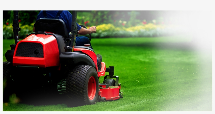 Lawn Care College Station Tx Maroon Mowing - Lawn Mowing, transparent png