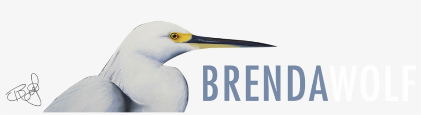 Polar Bears - Breaking Through Bureaucracy: A New Vision For Managing, transparent png