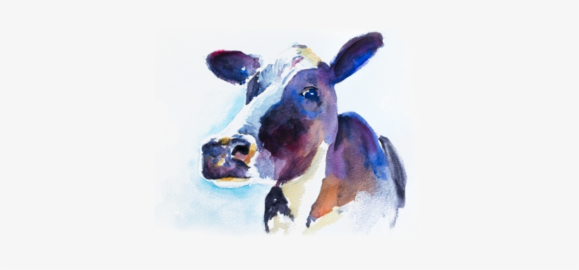 Dairy Cow, transparent png