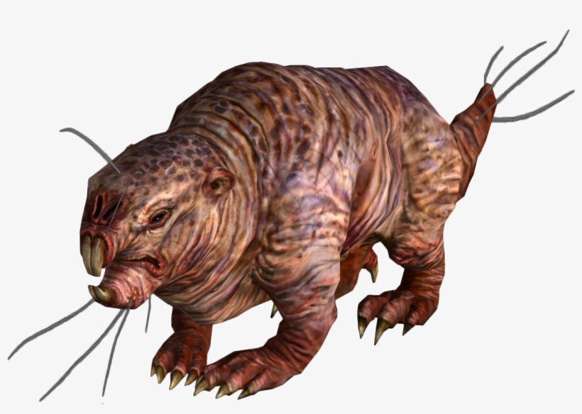 Mole Rat - Fallout Mole Rat, transparent png
