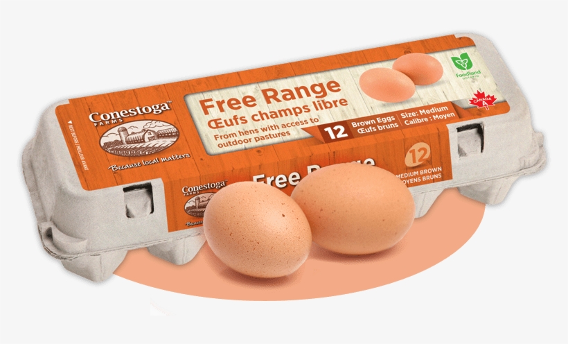 Free Range Eggs - Free Range Eggs Png, transparent png