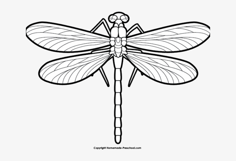 Dragonfly - Clip Art Black And White Dragonfly, transparent png