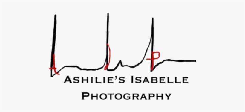 Logo 2 - P Photography, transparent png