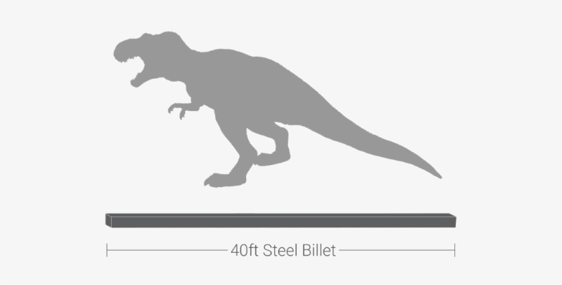 Each Of These Squares, Called A Billet, Is About The - Tyrannosaurus, transparent png
