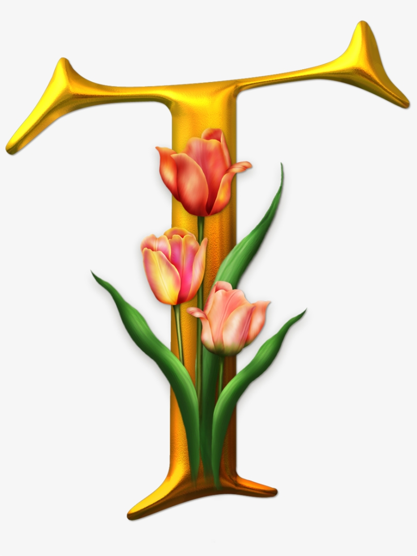 Marcos Gratis Para Fotos, Marcos Gratis, Frame Free, - Plants Alphabet Letter I Transparent, transparent png
